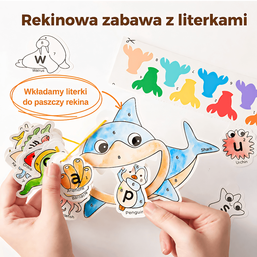 Farbusie — komplet 3 książek edukacyjnych 3w1 (ocean, dinozaury, zwierzęta)